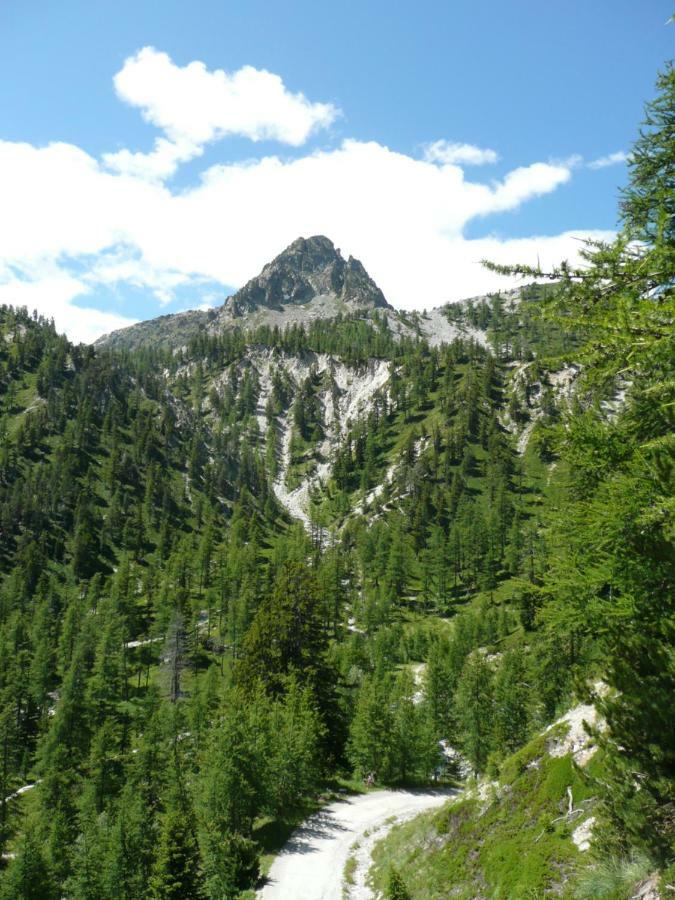 Chalet Le Bois Noir Valdeblore Εξωτερικό φωτογραφία